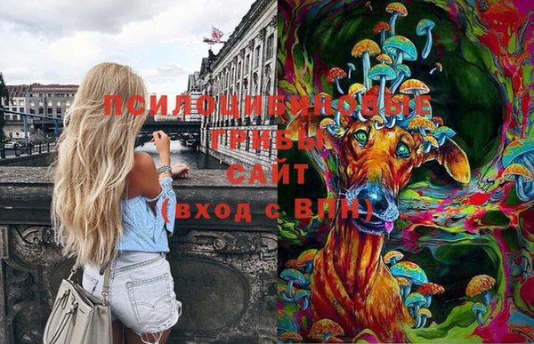 MESCALINE Ельня