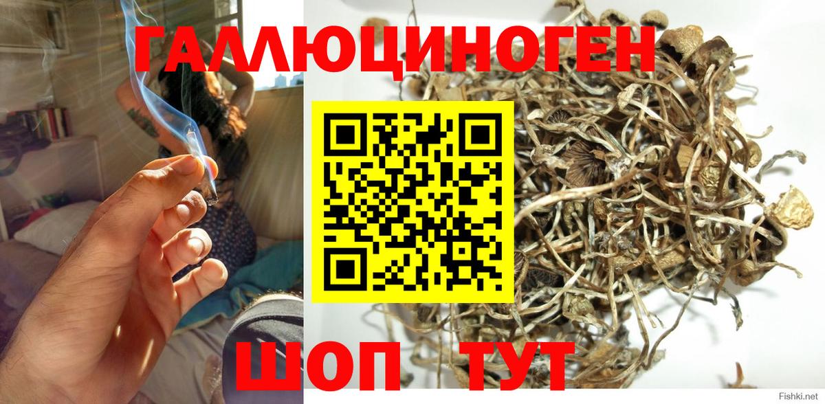 Псилоцибиновые грибы Magic Shrooms  Вход с VPN  Галлюциногенные грибы GOLDEN TEACHER  Брянск 
